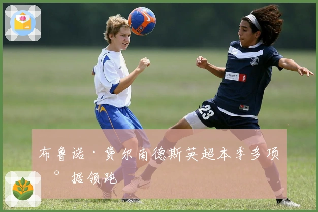 布鲁诺·费尔南德斯英超本季多项数据领跑