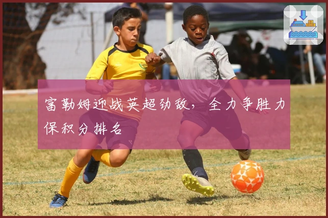 富勒姆迎战英超劲敌，全力争胜力保积分排名